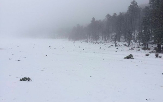 la-joya-miquihuana-nieve-2