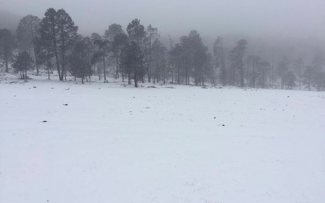 la-joya-miquihuana-nieve-4