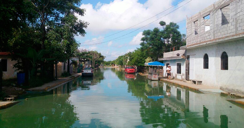 viven-entre-aguas-negras-2