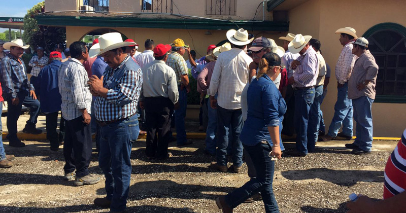 productores-campesinos-victoria