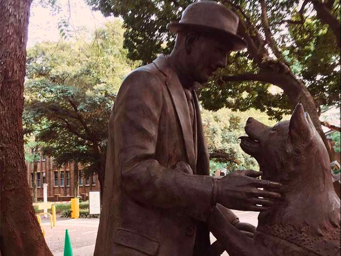 hachiko7